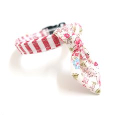画像3:  Candyシリーズ・レッドボーダー×ドット＆小花柄・ネクタイ/2色展開 (3)