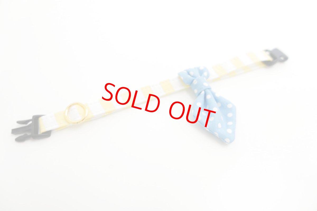 画像7:  Candyシリーズ・イエローボーダー×ドット柄・ネクタイ/3色展開 (7)