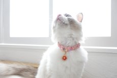 画像7: エアリーシュシュ・LIBERTYファブリック・シュシュ猫首輪・Betsy Sta（ベッツィスター）ホワイト/パール (7)