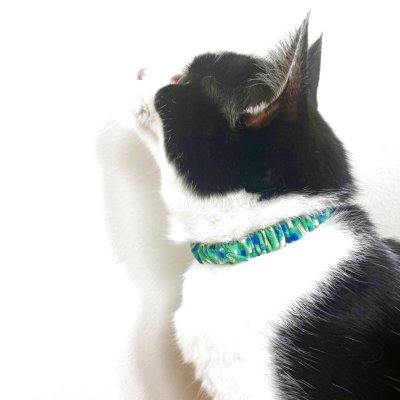 画像1: エアリーシュシュ・LIBERTYファブリック・シュシュ猫首輪・Archive patchwork （アーカイブパッチワーク）モスピンク