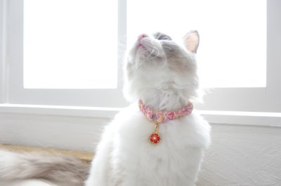 画像3: シュシュ猫首輪/『Ｆｌｏｒａｌ・Ｓｔｒａｗｂｅｒｒｙ』 （フローラル ストロベリー） （2色展開）
