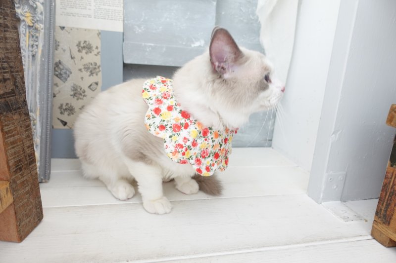 画像3: ローズガーデン /猫のスタイ首輪/シングル衿【ロングタイプ】