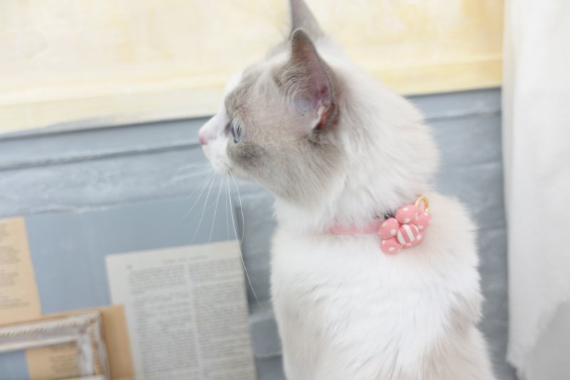 画像3: NEWドットボーダー・フラワーモチーフの首輪(グリーン)