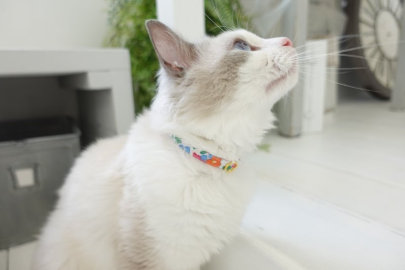 画像2: 子猫用首輪・エアリー首輪・LIBERTY Fabrics・リバティ・ファブリックス猫首輪City Blossom (シティ・ブロッサム)ブルー