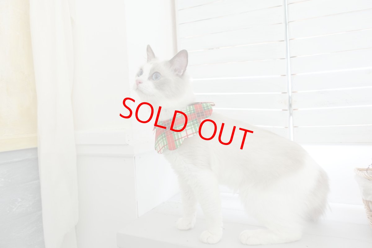 画像4: クリスマスチェック /猫のスタイ首輪/シングル衿【ロングタイプ】 (4)