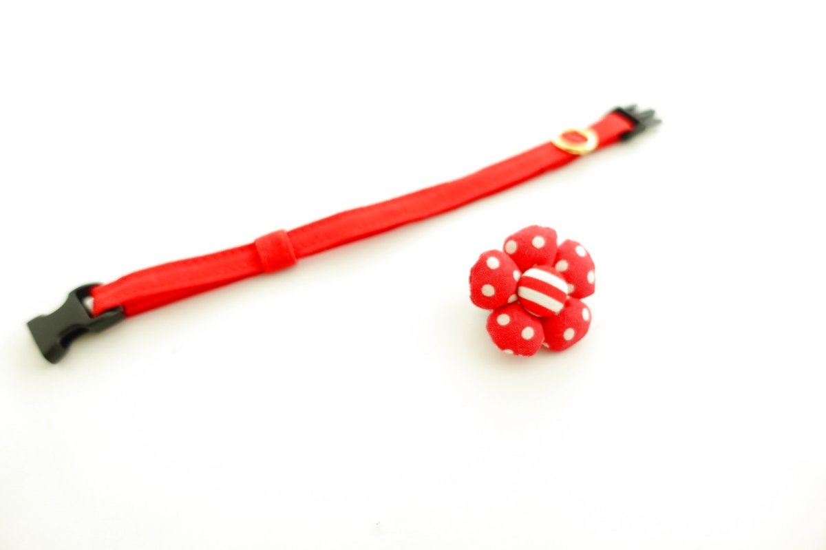 画像4: NEWドットボーダー・フラワーモチーフの首輪（レッド） (4)