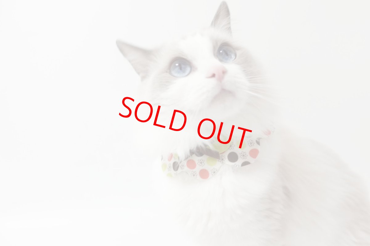 画像3: ボタニカル/猫のスタイ首輪/ダブル衿【ショートタイプ】 (3)