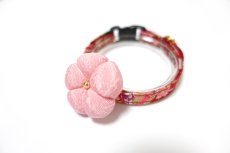 画像3: 梅モチーフの和柄首輪・赤色首輪（梅2色展開） (3)