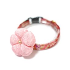画像1: 梅モチーフの和柄首輪・赤色首輪（梅2色展開） (1)
