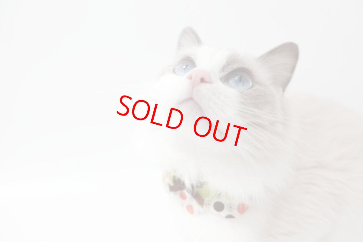 画像4: ボタニカル/猫のスタイ首輪/ダブル衿【ショートタイプ】 (4)