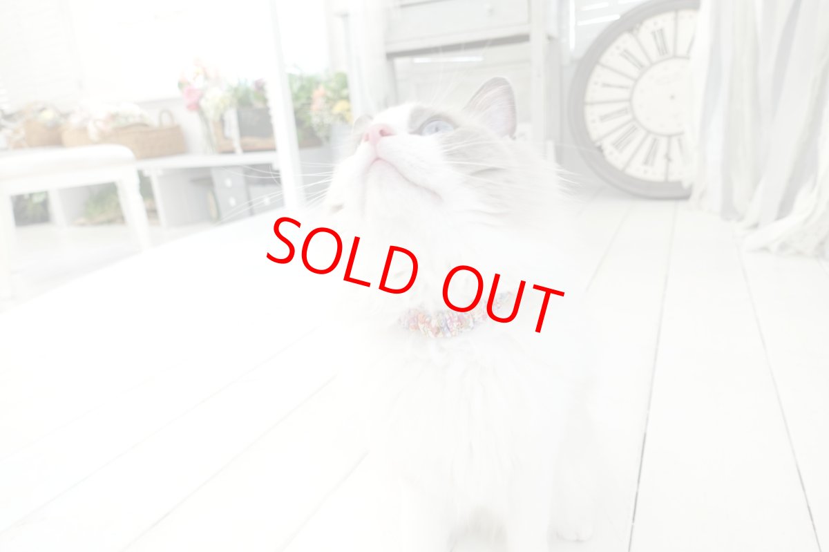 画像7: エアリーシュシュ・LIBERTYファブリック・シュシュ猫首輪・猫首輪（Xanthe Sunbeam ザンジー・サンビーム）イエロー (7)