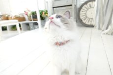 画像6: エアリーシュシュ・LIBERTYファブリック・シュシュ猫首輪・Archive patchwork （アーカイブパッチワーク）モスピンク (6)