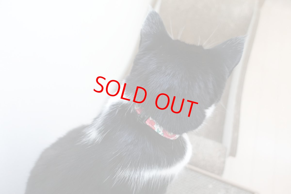 画像6: 子猫用首輪・エアリー首輪・LIBERTY Fabrics・リバティ・ファブリックス猫首輪（Xanthe Sunbeam ザンジー・サンビーム）グリーン (6)