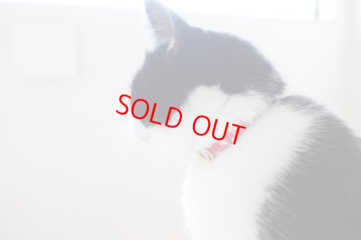 画像7: 子猫用首輪・エアリー首輪・LIBERTY Fabrics・リバティ・ファブリックス猫首輪（Xanthe Sunbeam ザンジー・サンビーム）グリーン (7)