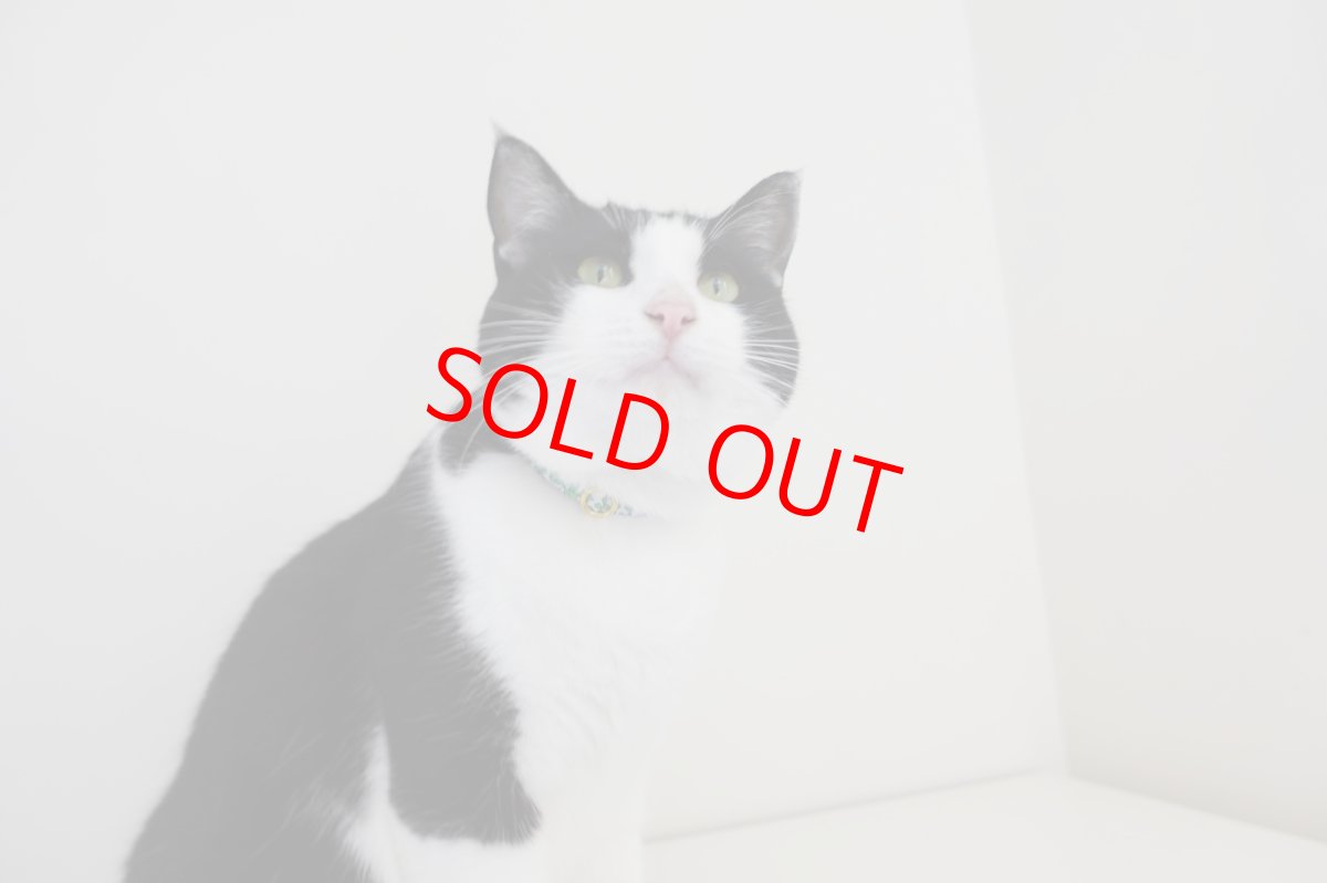 画像5: 子猫用首輪・エアリー首輪・LIBERTY Fabrics・リバティ・ファブリックス猫首輪（Xanthe Sunbeam ザンジー・サンビーム）グリーン (5)