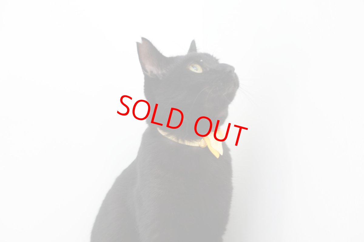 画像12: Ｂasic gingham Check/ベーシックギンガムチェック/ダブルリボン首輪（ブルー） (12)