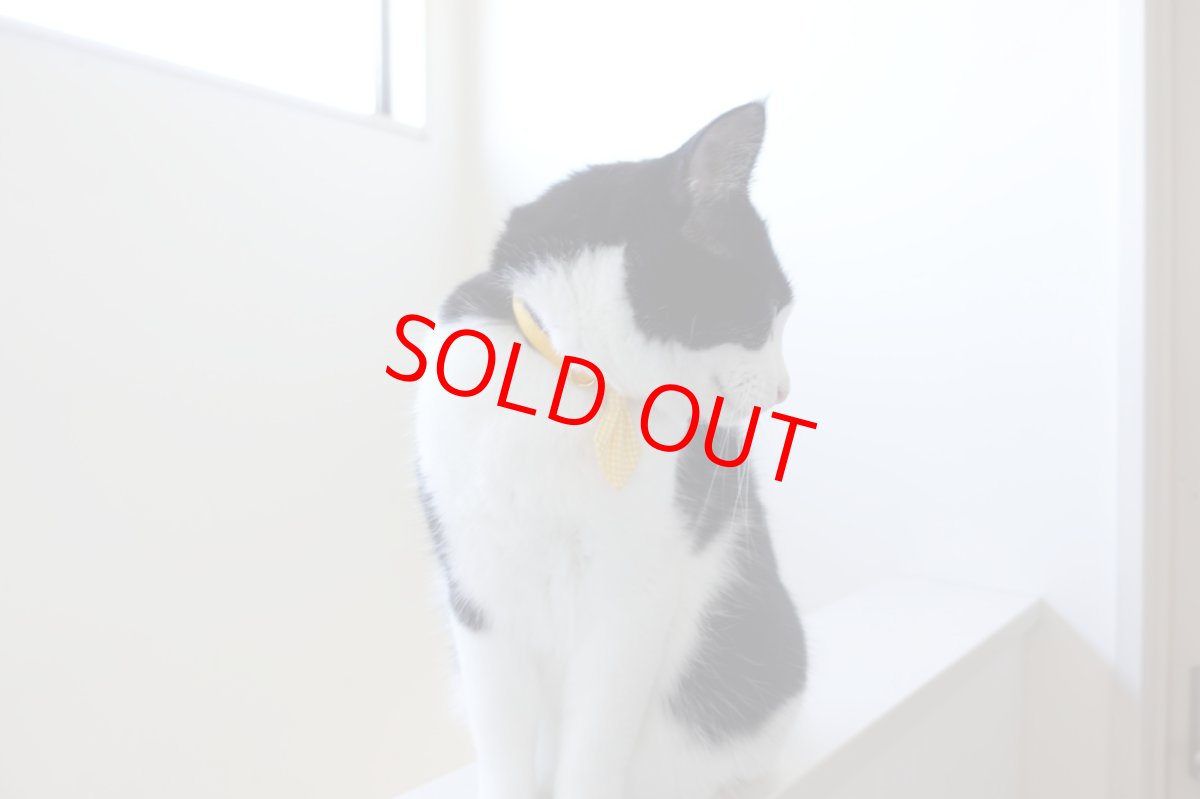 画像9: Basic gingham Check/ベーシックギンガムチェック/ネクタイ首輪(レッド) (9)