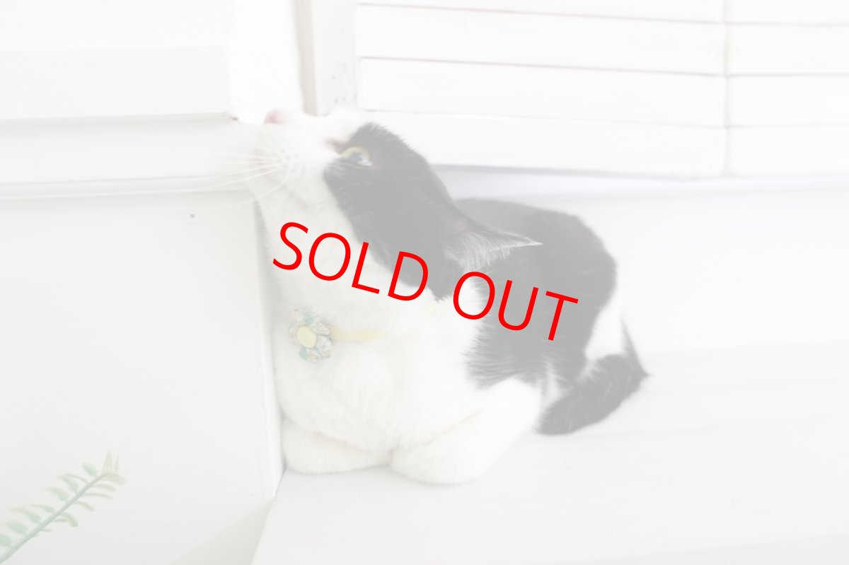 画像7: Petite Fleur/プチフルール/フラワーモチーフ猫首輪（ピンク） (7)