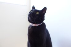 画像8: エアリーシュシュ・LIBERTYファブリック・シュシュ猫首輪・Archive patchwork （アーカイブパッチワーク）モスピンク (8)