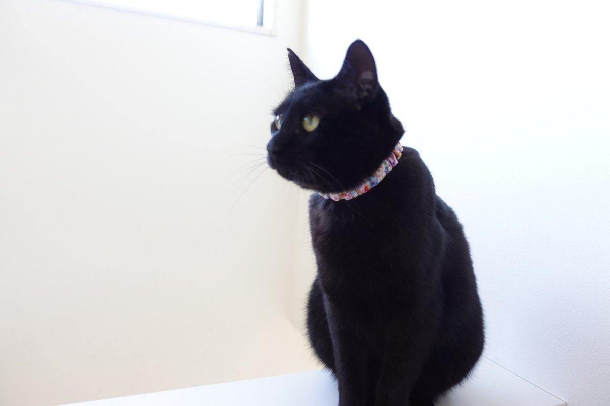 画像9: エアリーシュシュ・LIBERTYファブリック・シュシュ猫首輪・猫首輪（リバティプリント フェリシテ：復刻色）ベージュ×レッドフラワー (9)