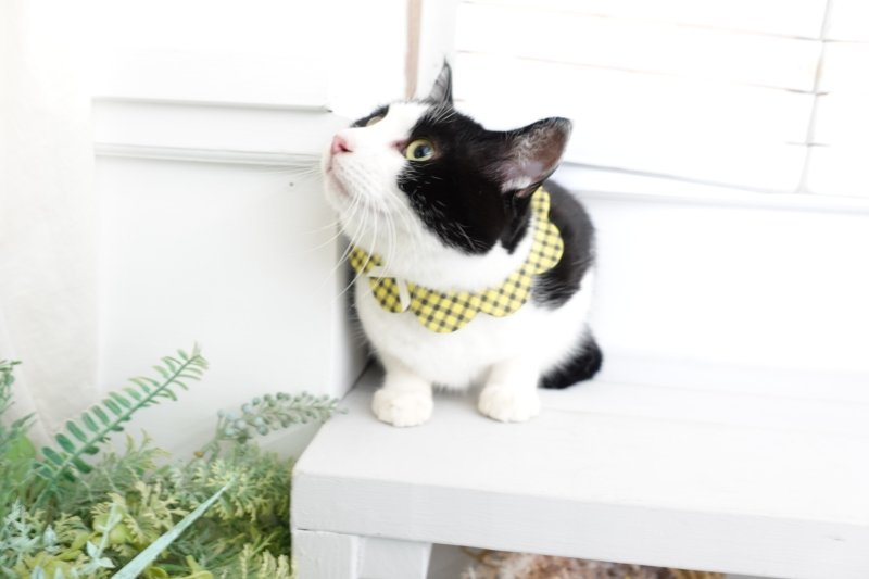 画像1: NATSUBI・デザイナーズファブリック /猫のスタイ首輪/シングル衿【ショートタイプ】3色展開