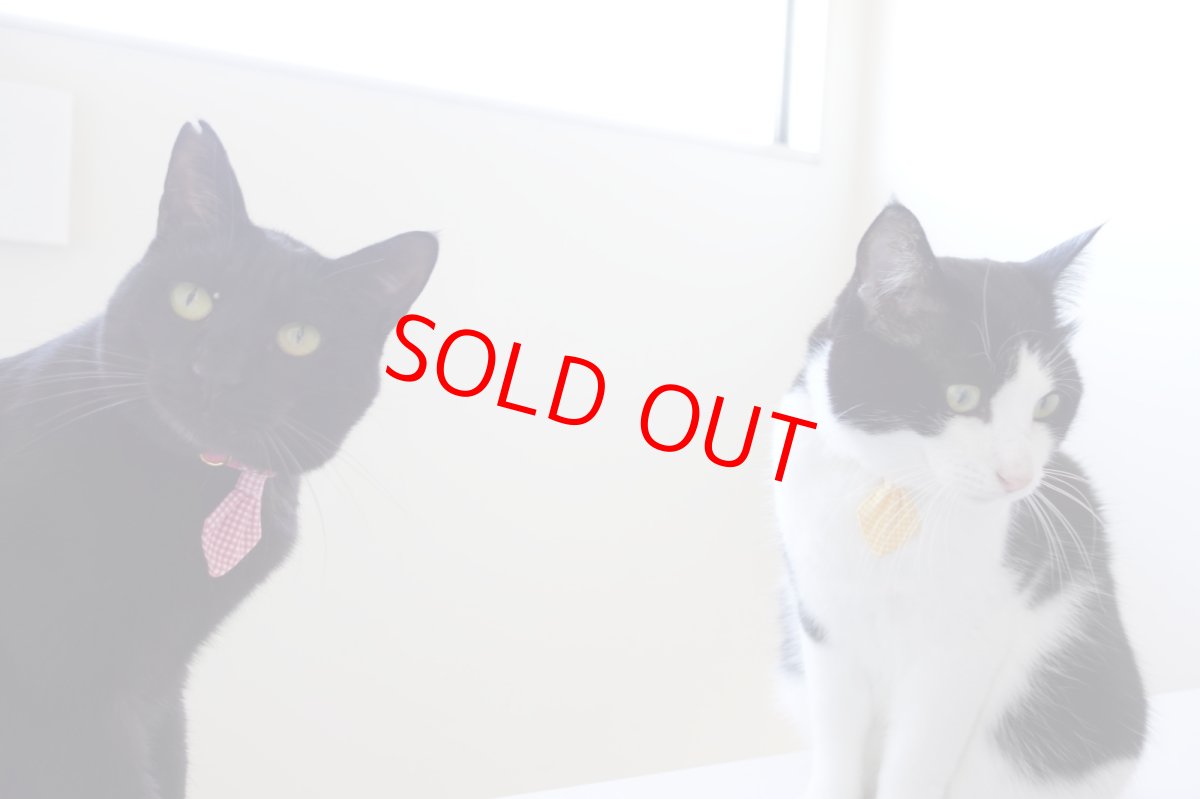 画像10: Basic gingham Check/ベーシックギンガムチェック/ネクタイ首輪(レッド) (10)