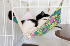 画像18: 猫ハンモック /リバーシブル＆オールシーズン対応！洗えるニャンモック (18)