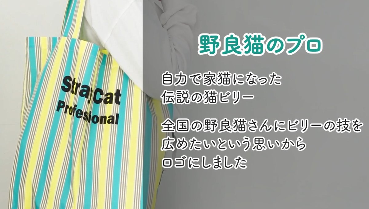 画像8: Nonbillieオリジナルエコバッグ/ポケッタブルエコバッグ/2カラー展開 (8)