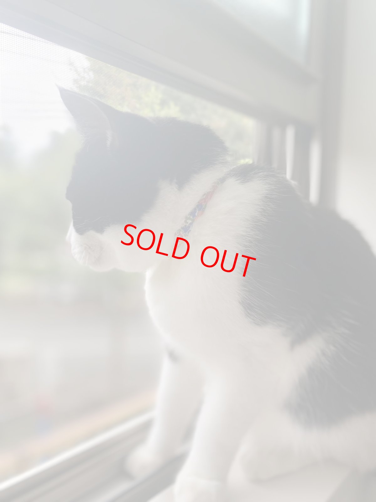 画像8: 子猫用首輪・エアリー首輪・LIBERTY Fabrics・リバティ・ファブリックス猫首輪・（Betsy Boo/ベッツィブー）ブルー (8)