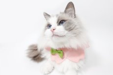 画像5:  桜衿 /チェリーブロッサム/さくら餅/猫のスタイ首輪/シングル衿 /猫のスタイ首輪/シングル衿【ロングタイプ】2色展開 (5)