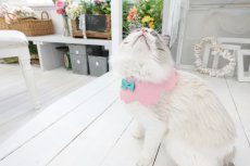 画像3:  桜衿 /チェリーブロッサム/さくら餅/猫のスタイ首輪/シングル衿 /猫のスタイ首輪/シングル衿【ロングタイプ】2色展開 (3)