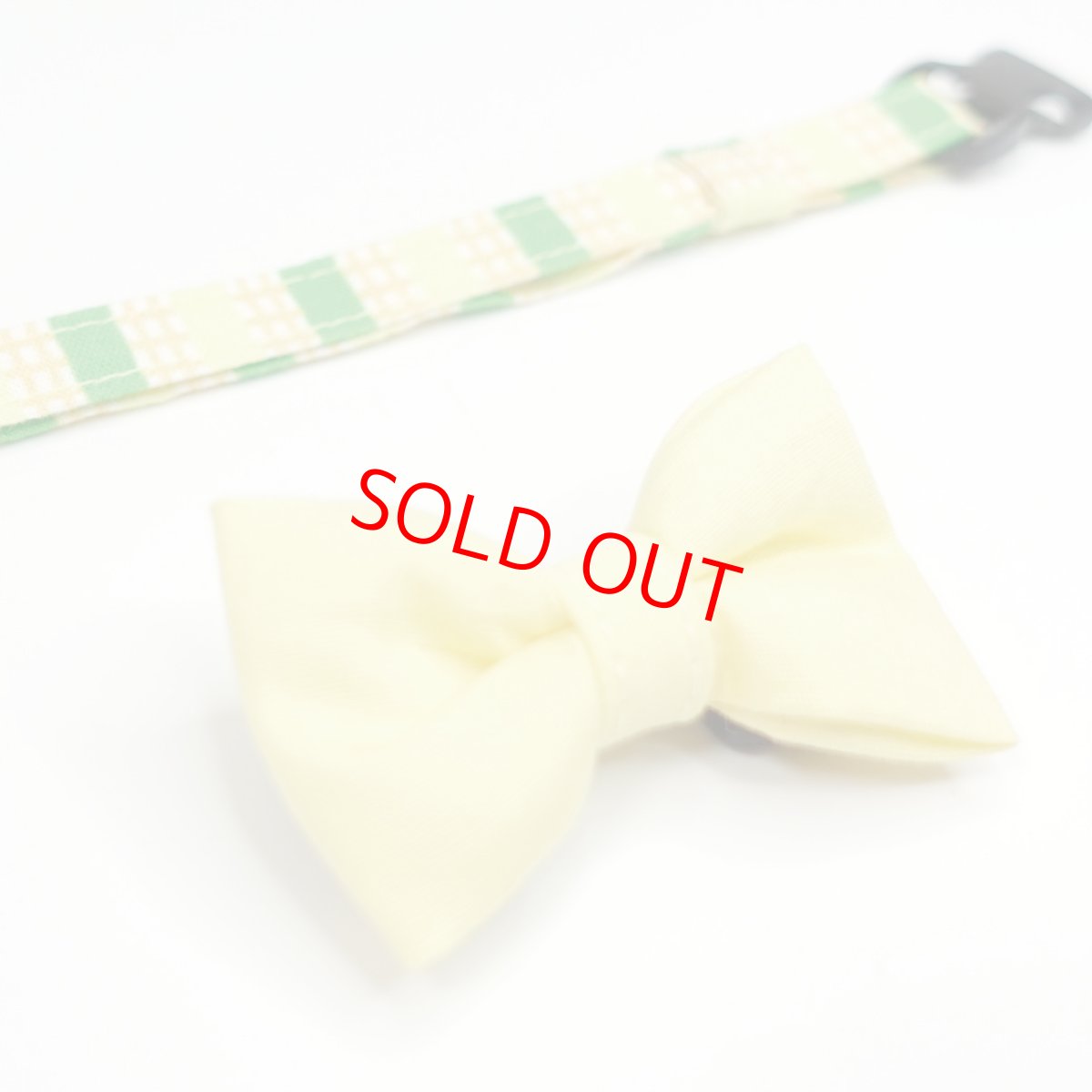 画像2: Nonbillieオリジナルボーダー柄・リボン首輪/イエローリボン（イエロー×黄緑） (2)