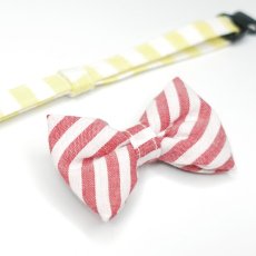 画像2: Candyシリーズ・イエローボーダー×レッドボーダーリボン首輪 (2)