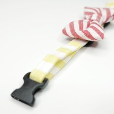 画像4: Candyシリーズ・イエローボーダー×レッドボーダーリボン首輪 (4)