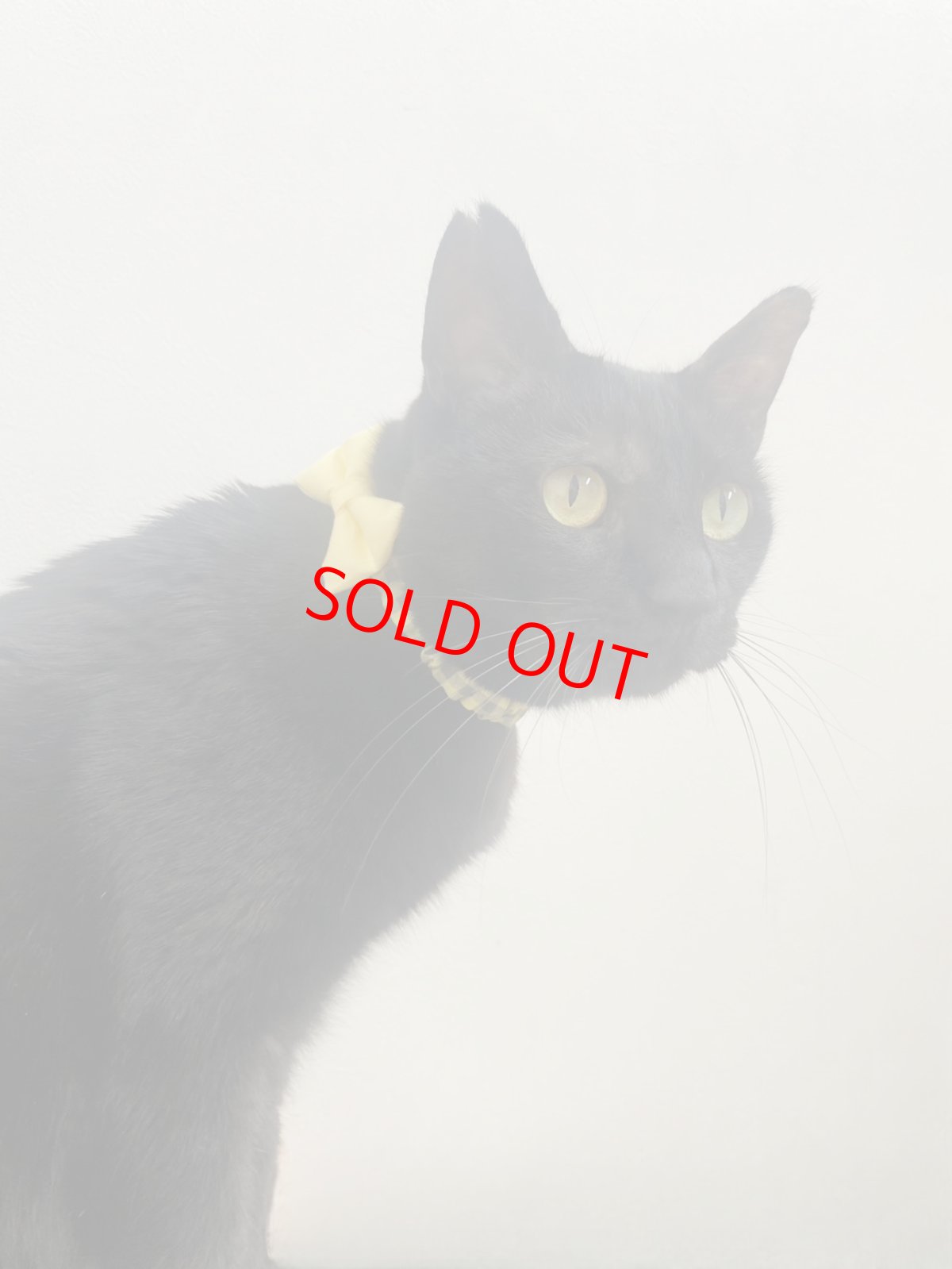 画像6: リボン・シュシュ猫首輪/セーフティーバックル付き/NATSUBI・デザイナーズファブリック（ピンク） (6)