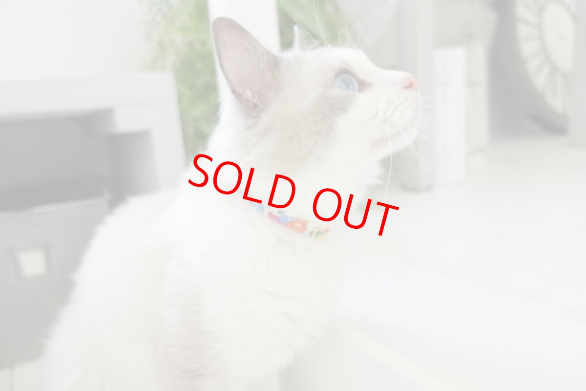 画像9: 子猫用首輪・エアリー首輪・LIBERTY Fabrics・リバティ・ファブリックス猫首輪・（Betsy Boo/ベッツィブー）ブルー (9)