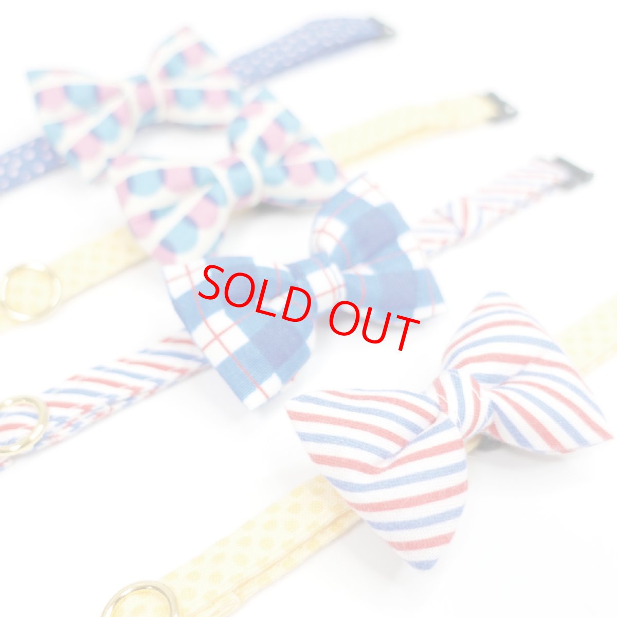 画像4: おめかし猫のおさんぽコレクション/Gタイプ/リボン猫首輪 (4)