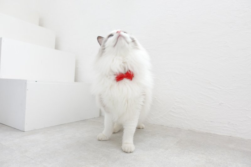 画像1: ビオラリボン猫首輪・（ビオラ型リボン×ローズガーデン小花柄首輪）