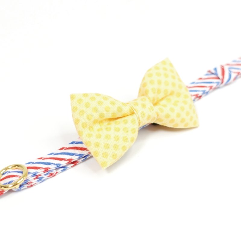 画像3: おめかし猫のおさんぽコレクション/Eタイプ/リボン猫首輪