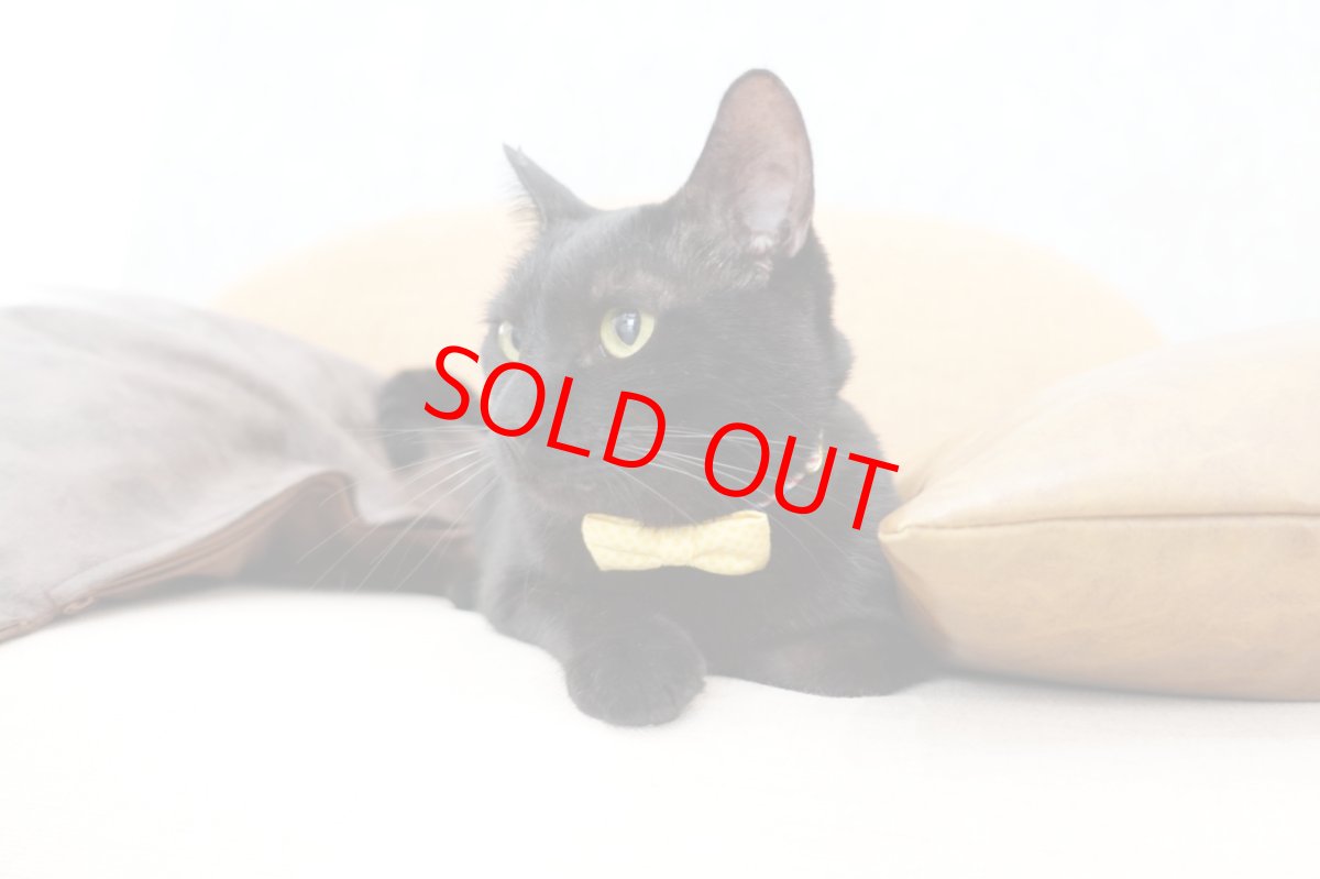 画像4: MODA・モダファブリックシリーズ・On The Bright Side（オンザブライトサイド）・リボン猫首輪・（イエローリボン×ピンク系小花柄首輪） (4)