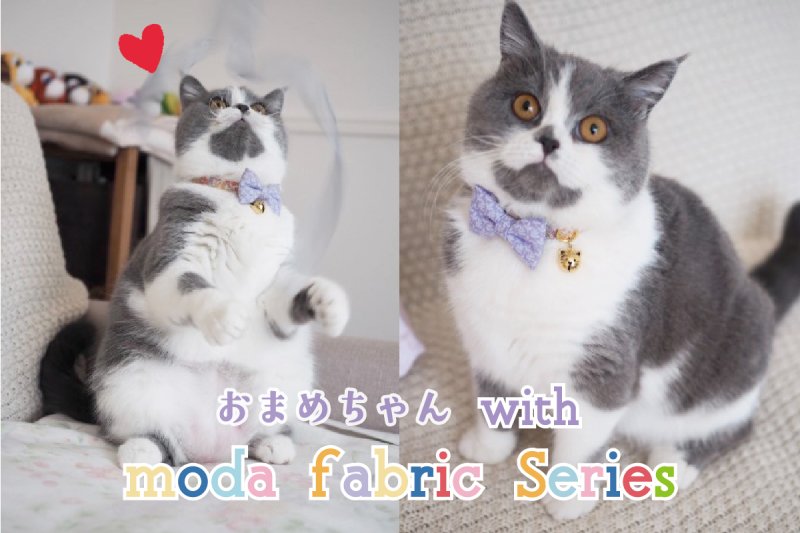 画像2: MODA・モダファブリックシリーズ・Georgia (ジョージア)・リボン猫首輪・(パープルリーフ柄リボン&小花柄首輪)