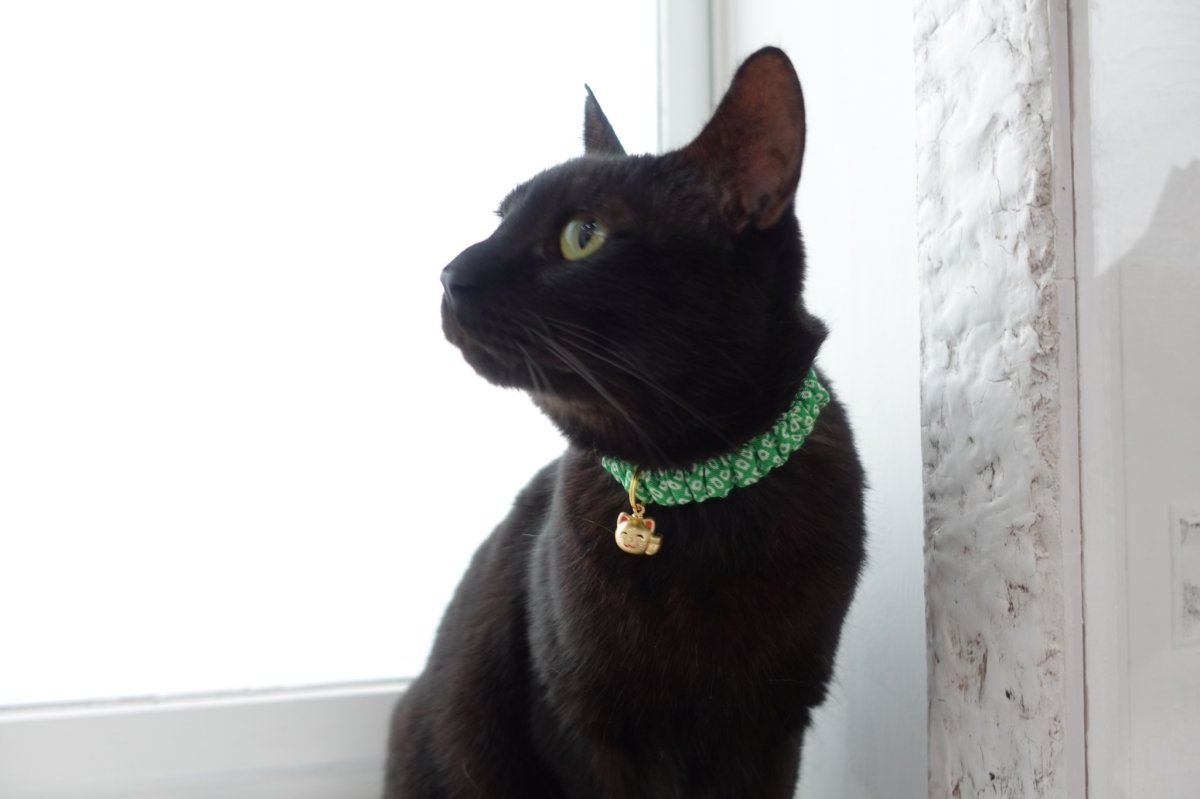 画像4: Lサイズ限定商品/だるま鈴付き/セイフティーバックル付きシュシュ猫首輪/鹿の子柄/オレンジ (4)