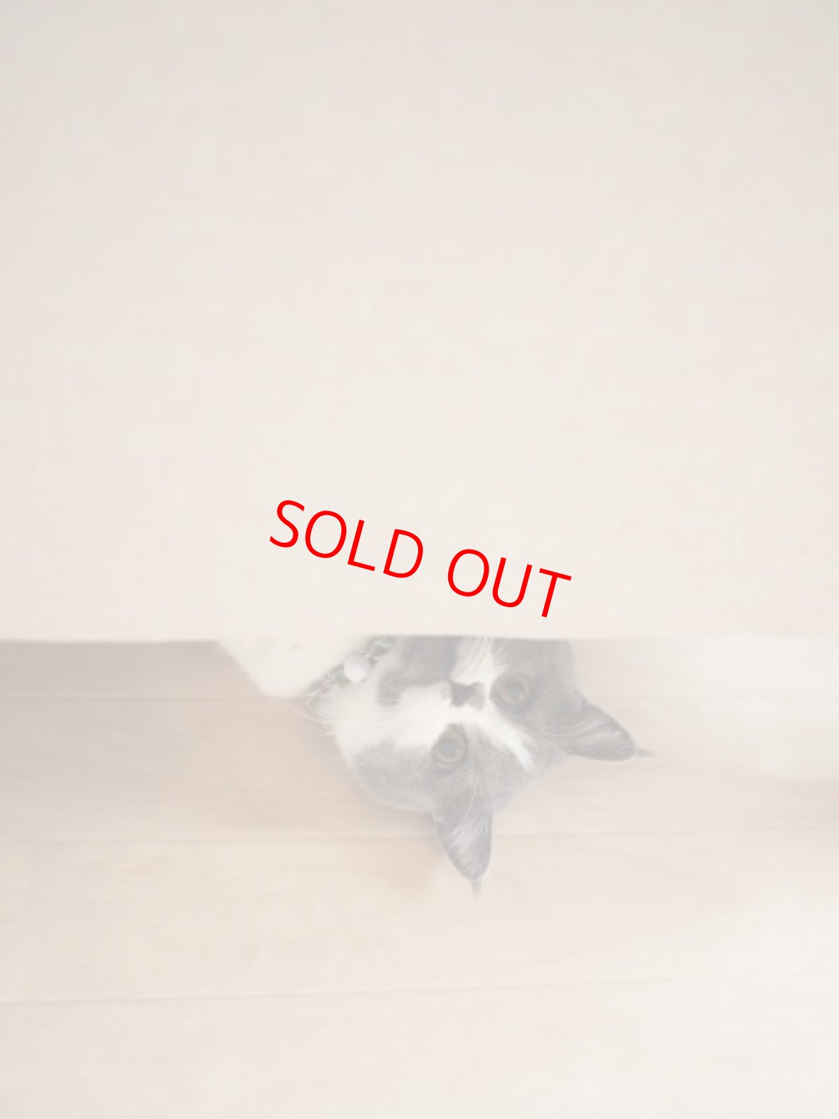 画像8: エアリーシュシュ・LIBERTYファブリック・シュシュ猫首輪・Emily（エミリー）グリーン×パープル (8)