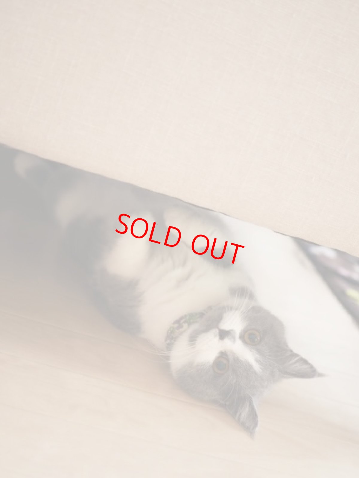 画像7: エアリーシュシュ・LIBERTYファブリック・シュシュ猫首輪・Emily（エミリー）グリーン×パープル (7)