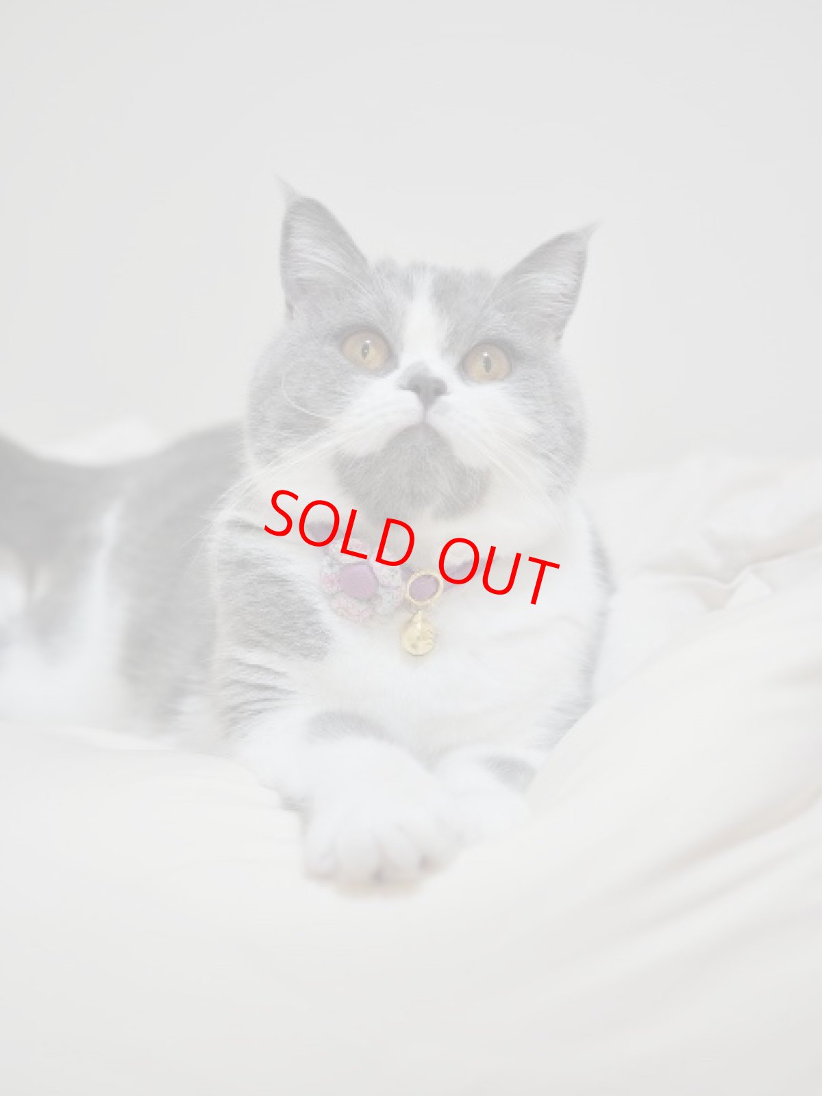 画像15: Petite Fleur/プチフルール/フラワーモチーフ猫首輪（グリーン） (15)