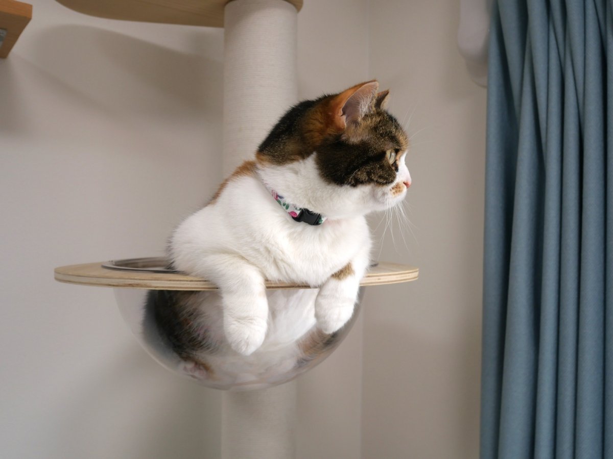 画像10: エアリー首輪・LIBERTY Fabrics・リバティ・ファブリックス猫首輪Betsy （ベッツィ）ディープピンク＆オレンジ (10)