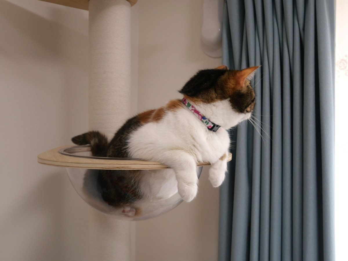 画像11: エアリー首輪・LIBERTY Fabrics・リバティ・ファブリックス猫首輪Betsy （ベッツィ）ディープピンク＆オレンジ (11)