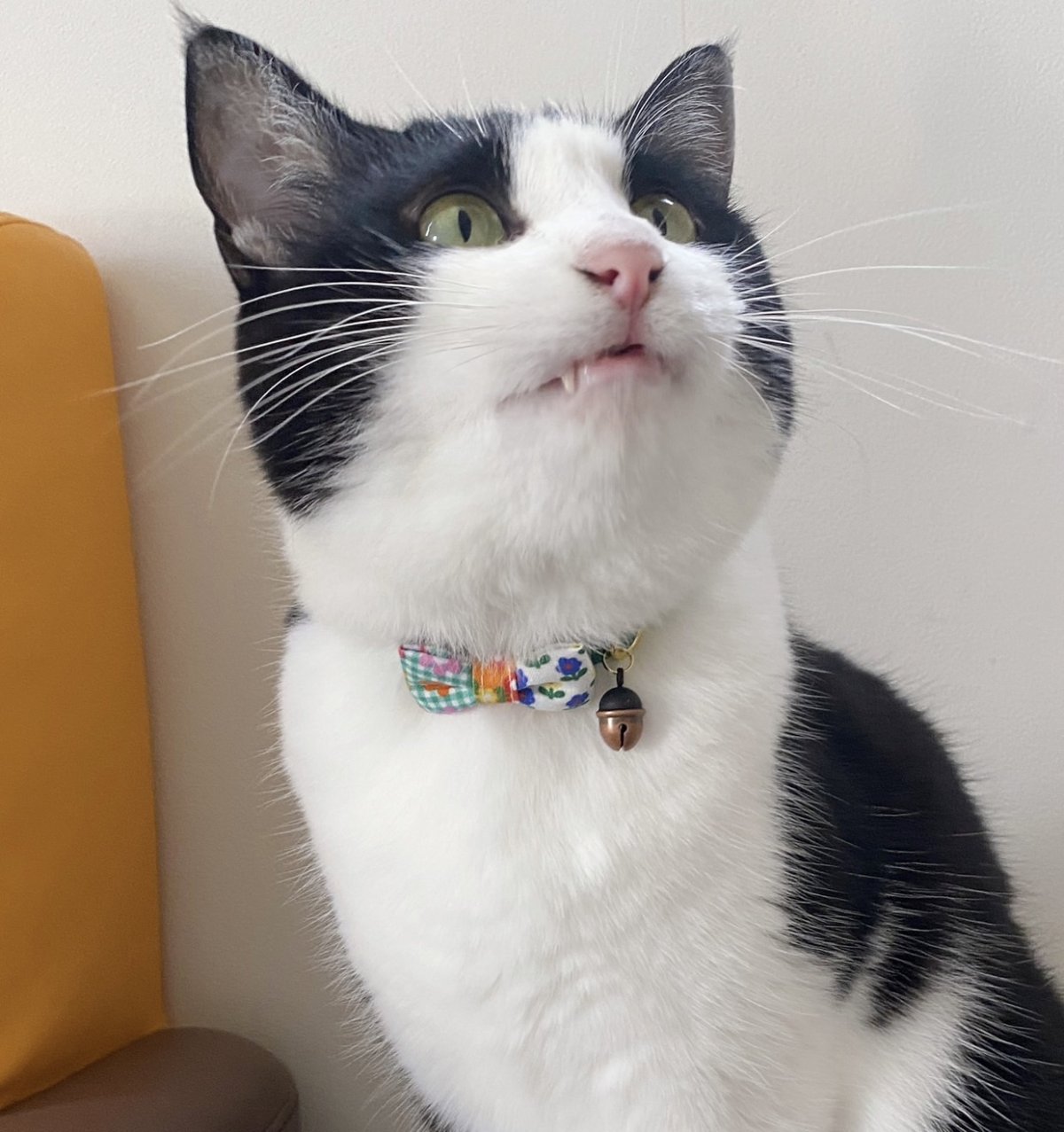 画像2: どんぐり鈴（銅古美）小サイズ (2)