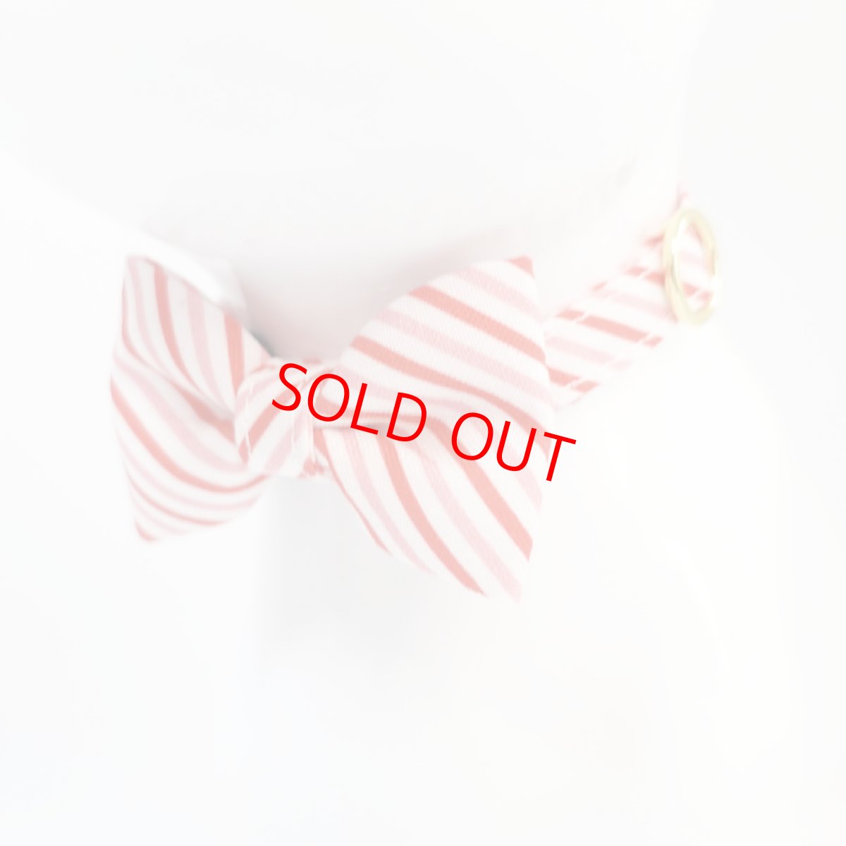 画像2: おめかし猫のおさんぽコレクション/Jタイプ/リボン猫首輪 (2)