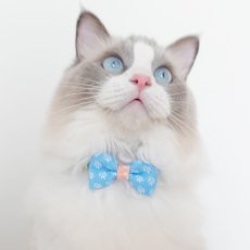 画像2: 森のティーパーティーコレクションH柄・リボン猫首輪 (2)